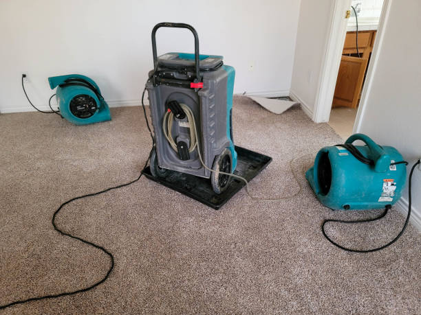 Best Flood restoration services  in Davis, OK