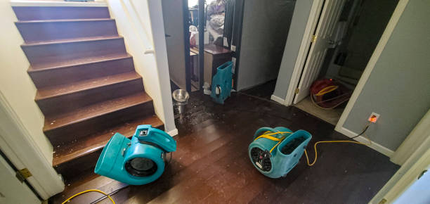 Best 24/7 water damage repair  in Davis, OK