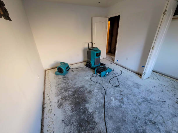 Best Sewage cleanup and water damage restoration  in Davis, OK
