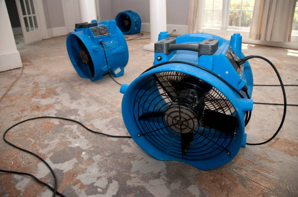 Best Flood damage cleanup  in Davis, OK
