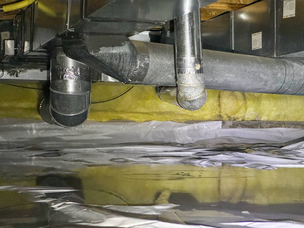 Best Water damage restoration near me  in Davis, OK