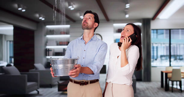 Best Water damage restoration near me  in Davis, OK