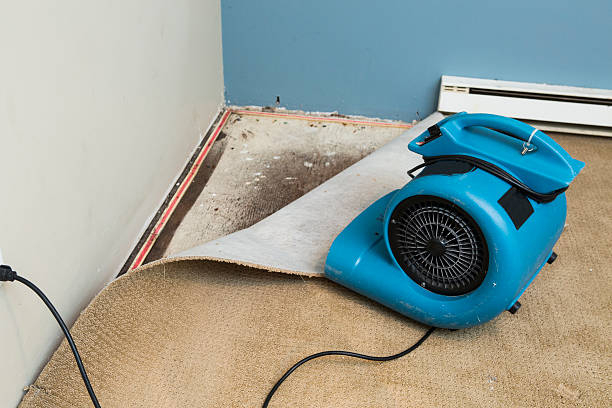Best Ceiling water damage repair  in Davis, OK